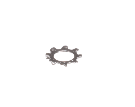 WL-019-62